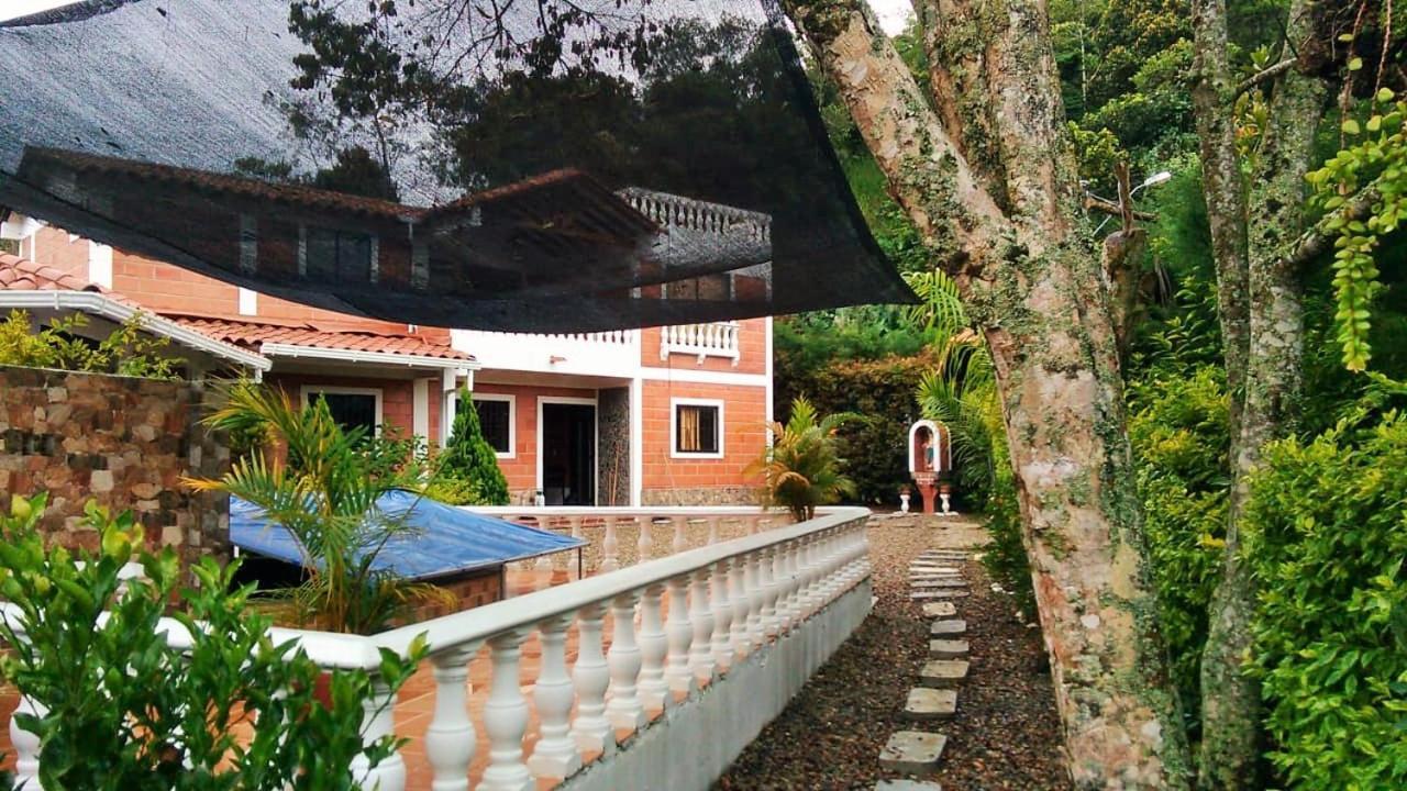 Casa Alejandria