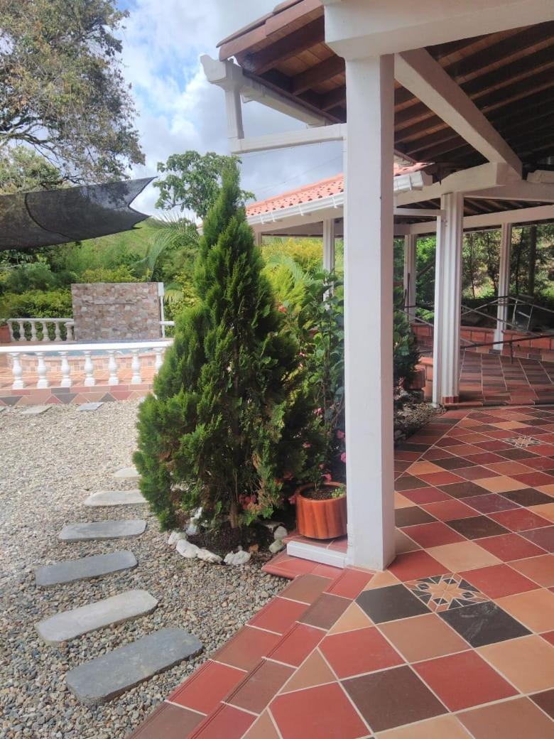 Casa Alejandria